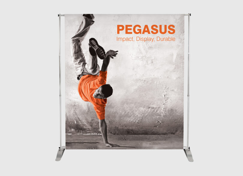 Exhibition  Display  Pegasus  Pvc  Banner  Outdoor  Indoor 01