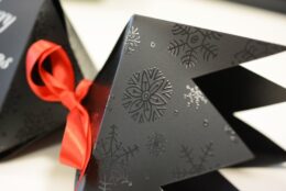 Promotional Items Christmas Cracker Spot Varnish White Ink 01